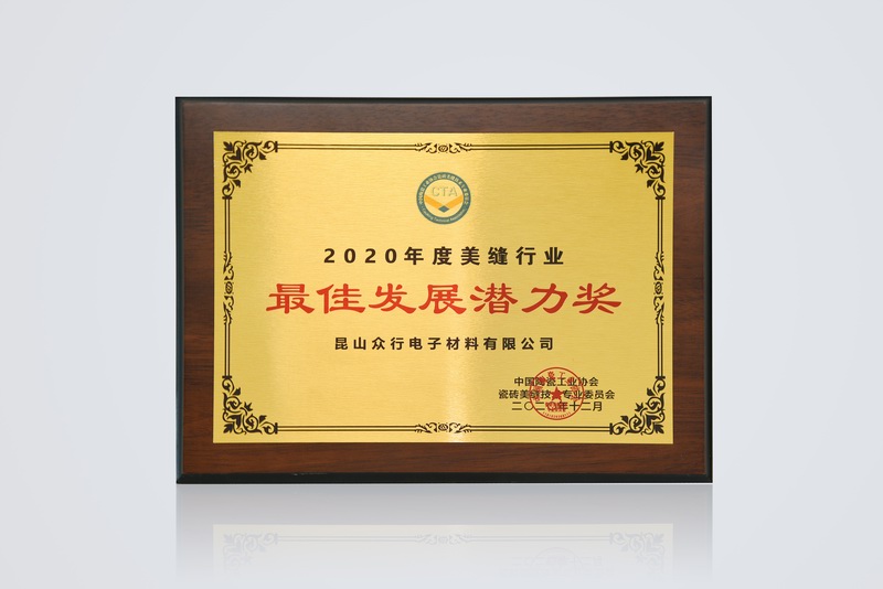 2020美缝行业发展潜力奖